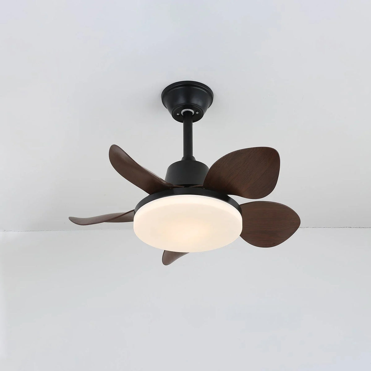 Amelia Ceiling Fan Light - view 5 | Metavaya