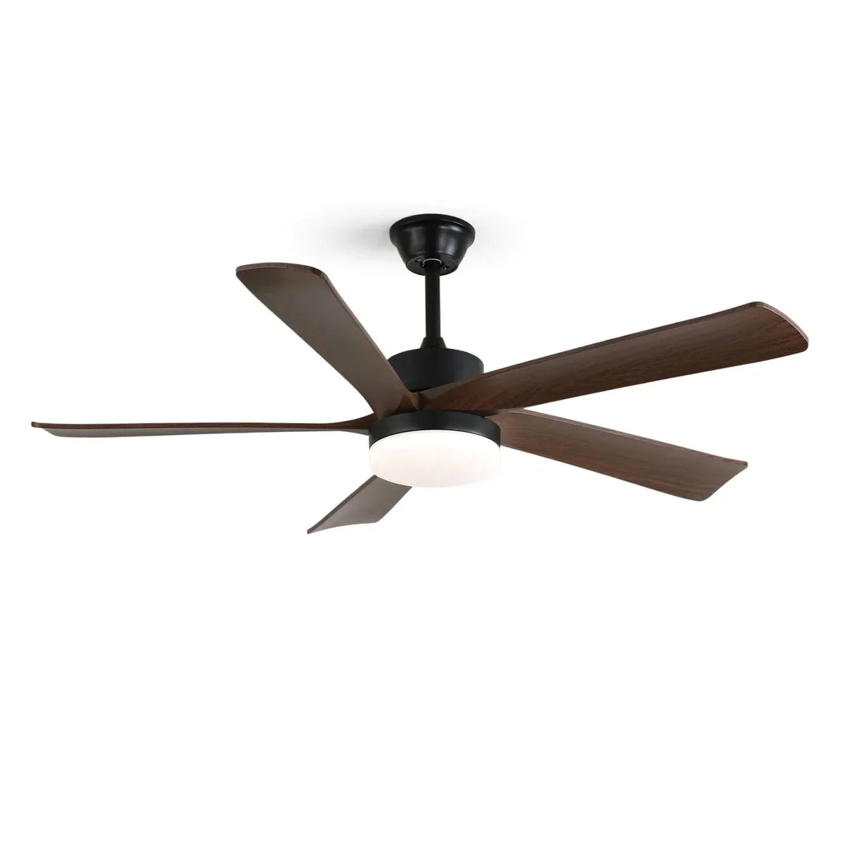 Auralin Breeze Ceiling Fan Light | Metavaya