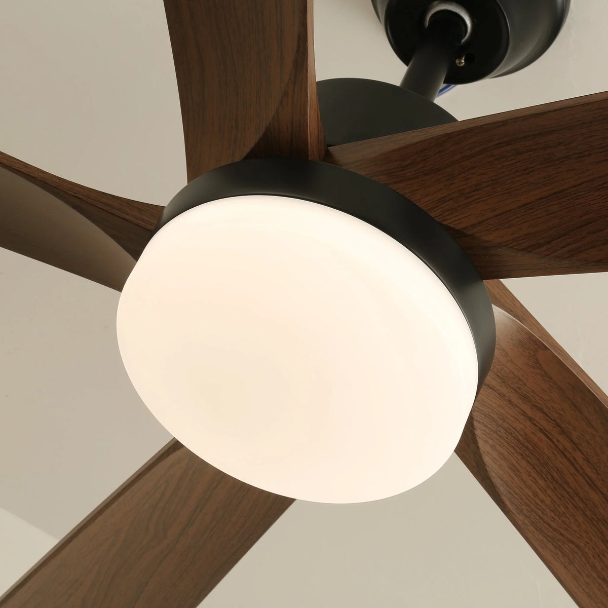 Auralin Breeze Ceiling Fan Light - view 10 | Metavaya