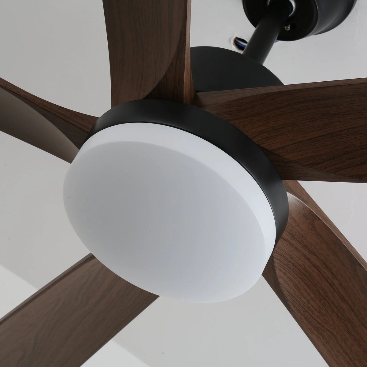 Auralin Breeze Ceiling Fan Light - view 7 | Metavaya