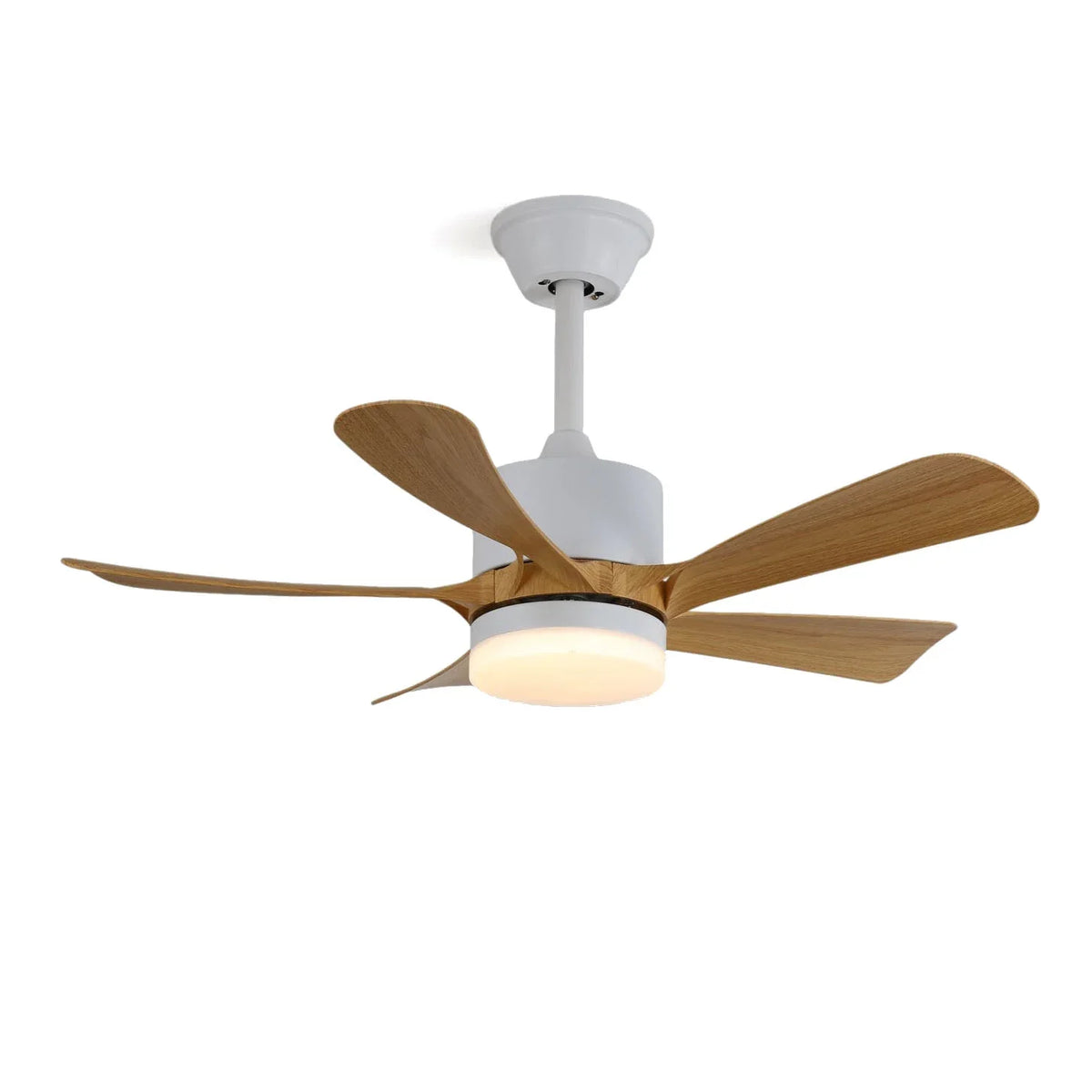 Avenli Ceiling Fan Light | Metavaya