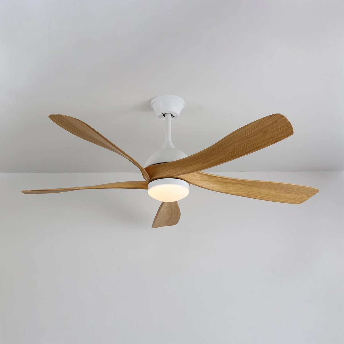 Avenli Ceiling Fan Light - view 10 | Metavaya
