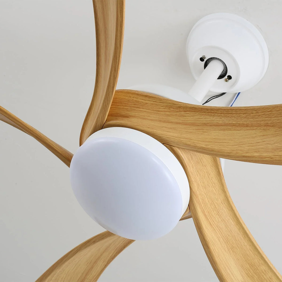 Avenli Ceiling Fan Light - view 11 | Metavaya