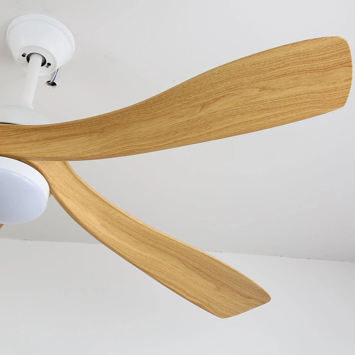 Avenli Ceiling Fan Light - view 12 | Metavaya