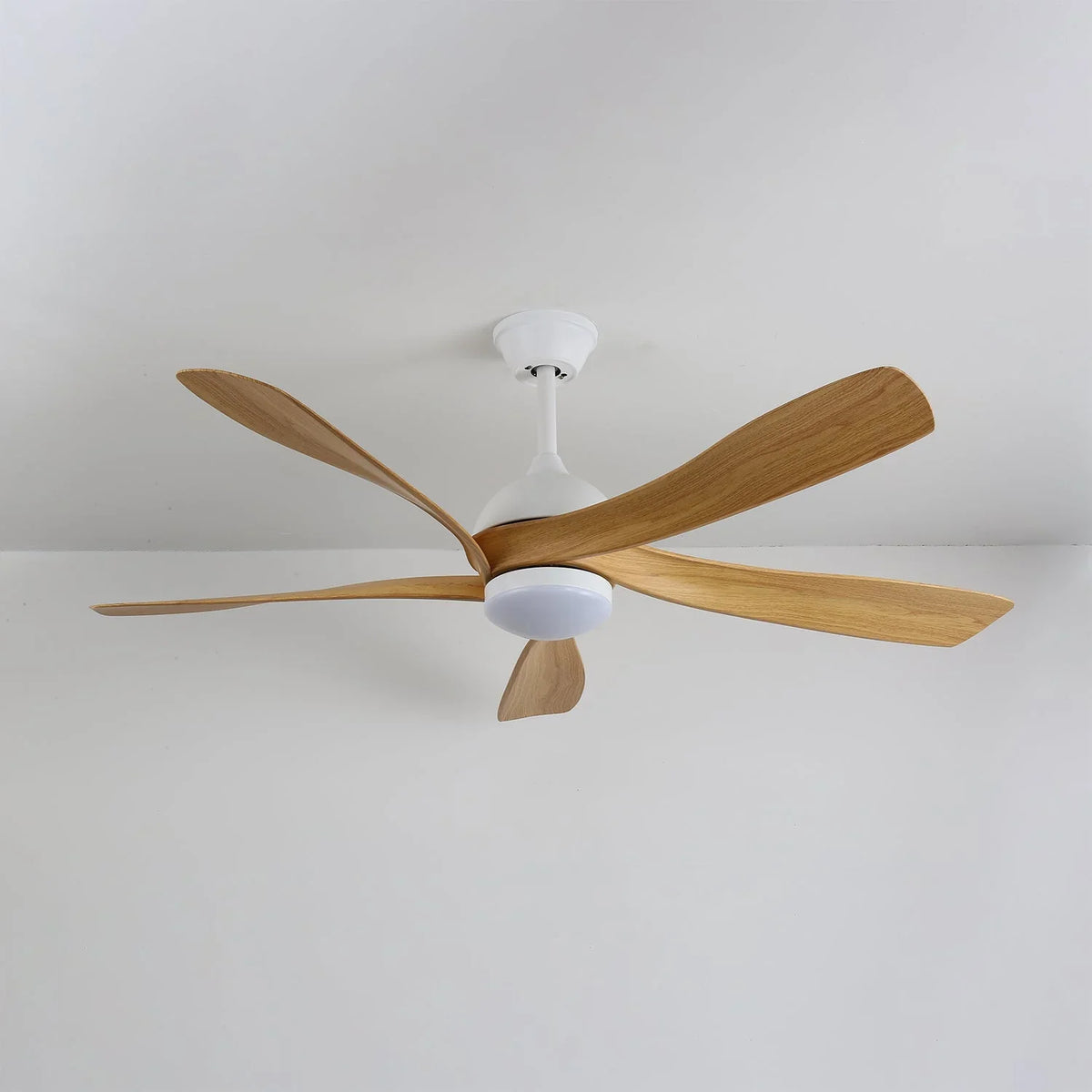 Avenli Ceiling Fan Light - view 14 | Metavaya