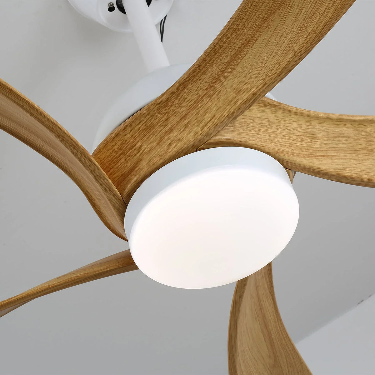 Avenli Ceiling Fan Light - view 3 | Metavaya