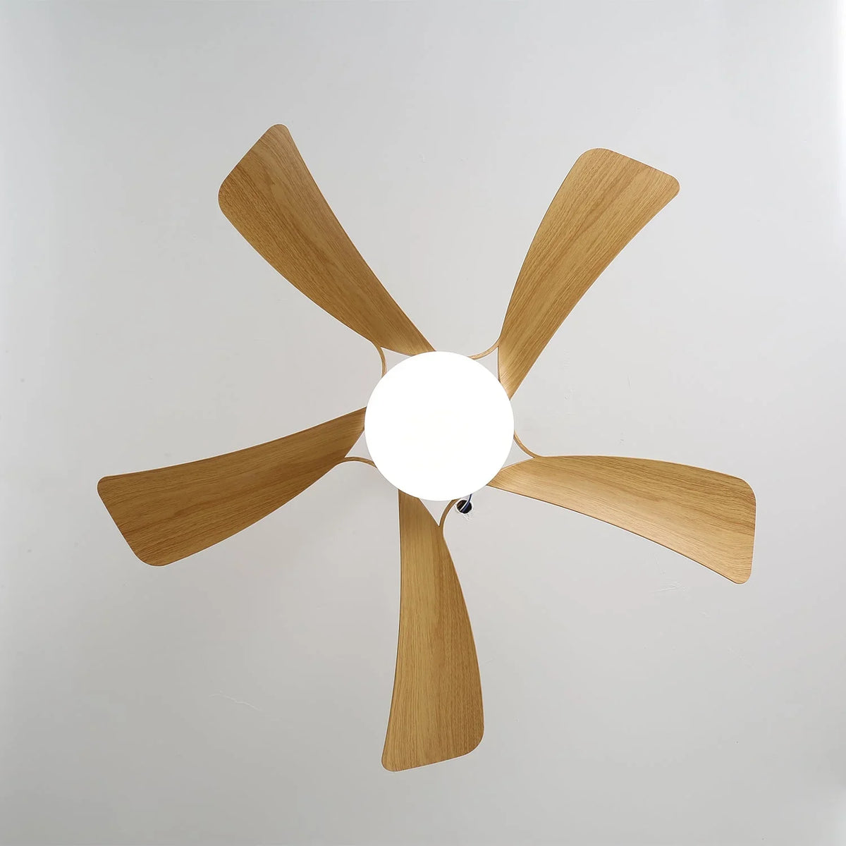 Avenli Ceiling Fan Light - view 5 | Metavaya