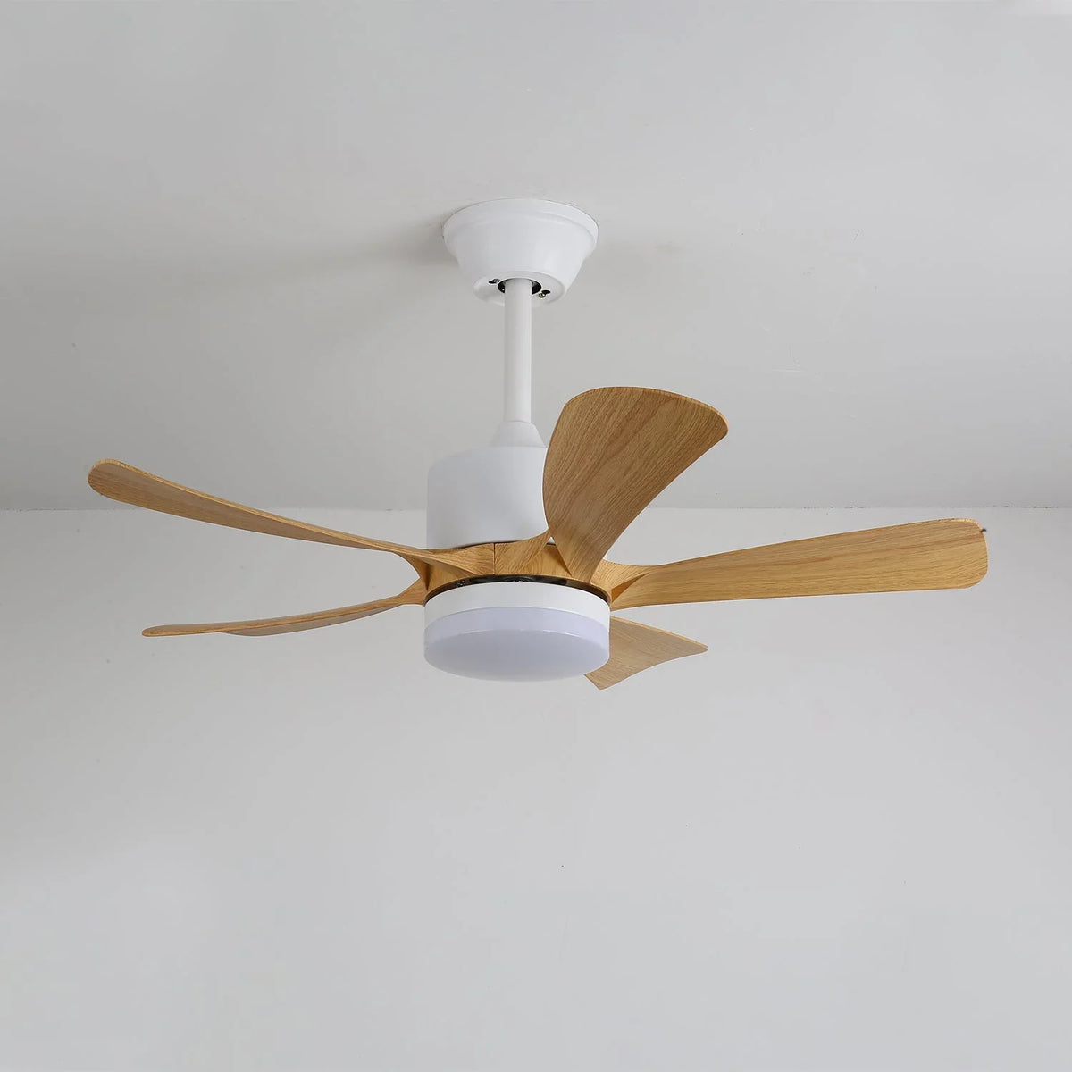 Avenli Ceiling Fan Light - view 7 | Metavaya