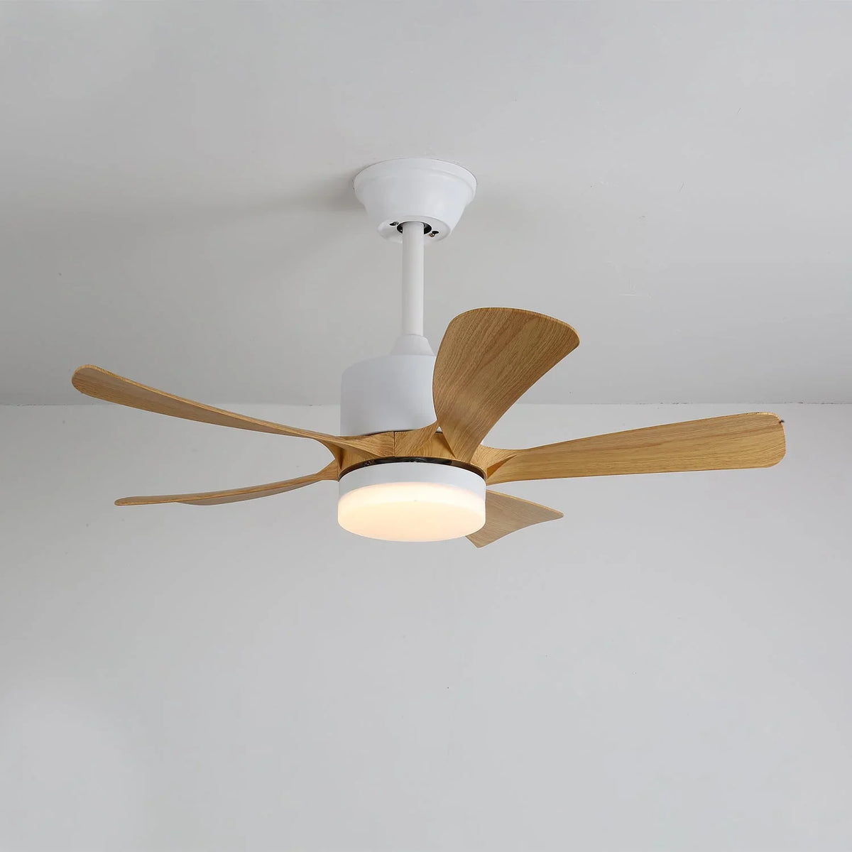 Avenli Ceiling Fan Light - view 8 | Metavaya