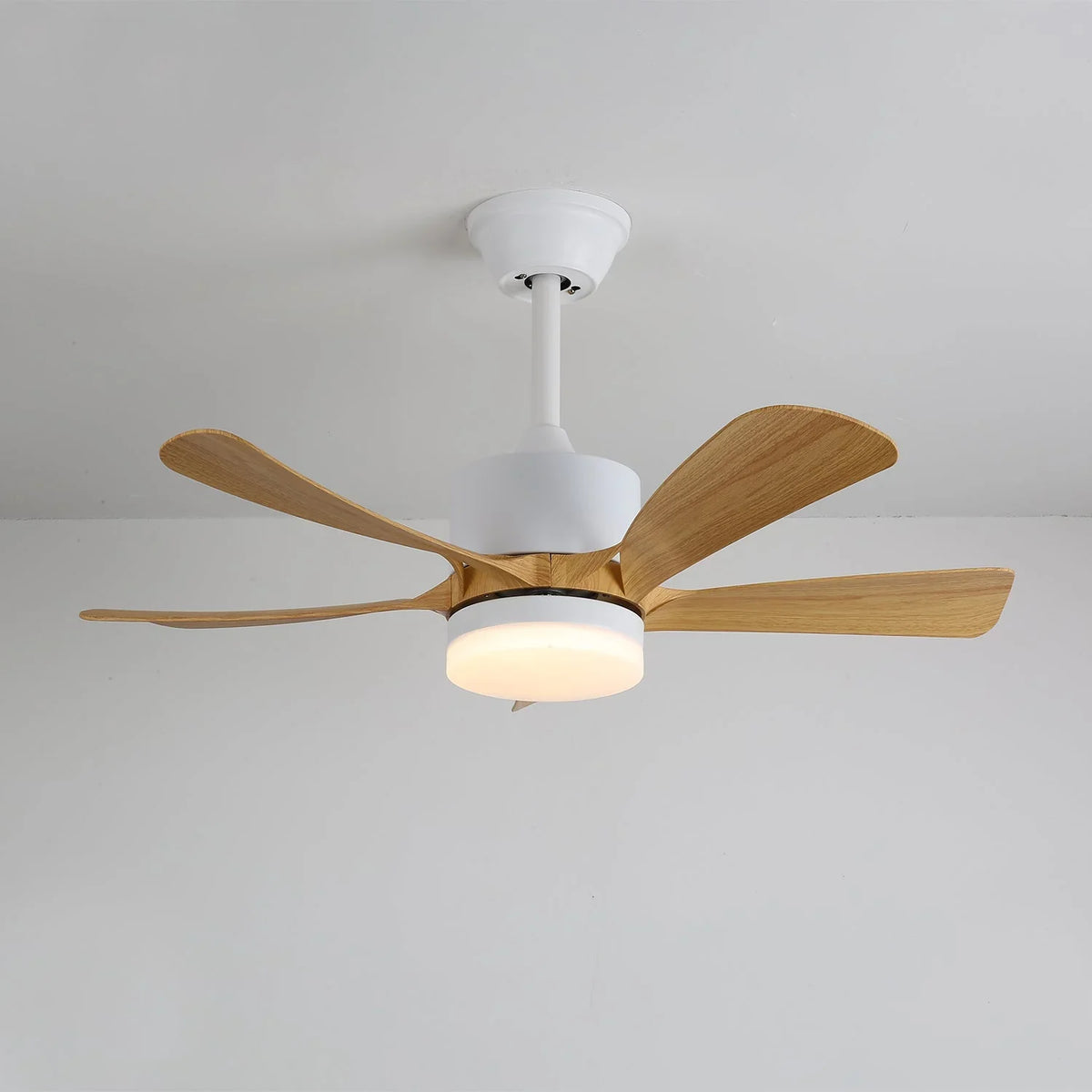 Avenli Ceiling Fan Light - view 9 | Metavaya