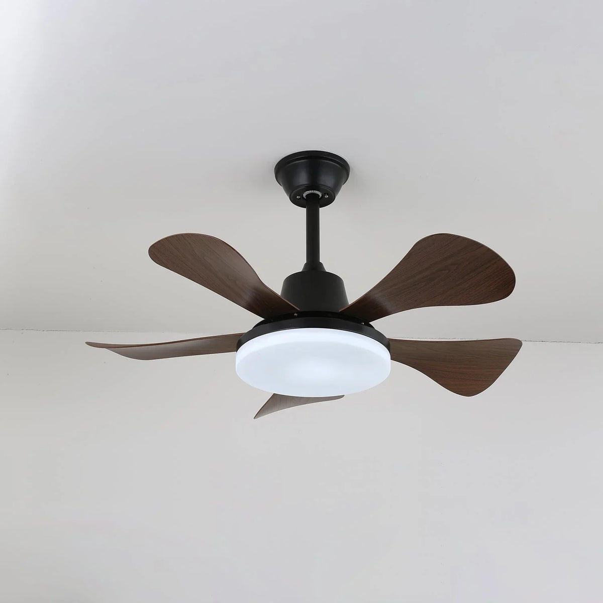 Eliza Ceiling Fan Light - view 5 | Metavaya