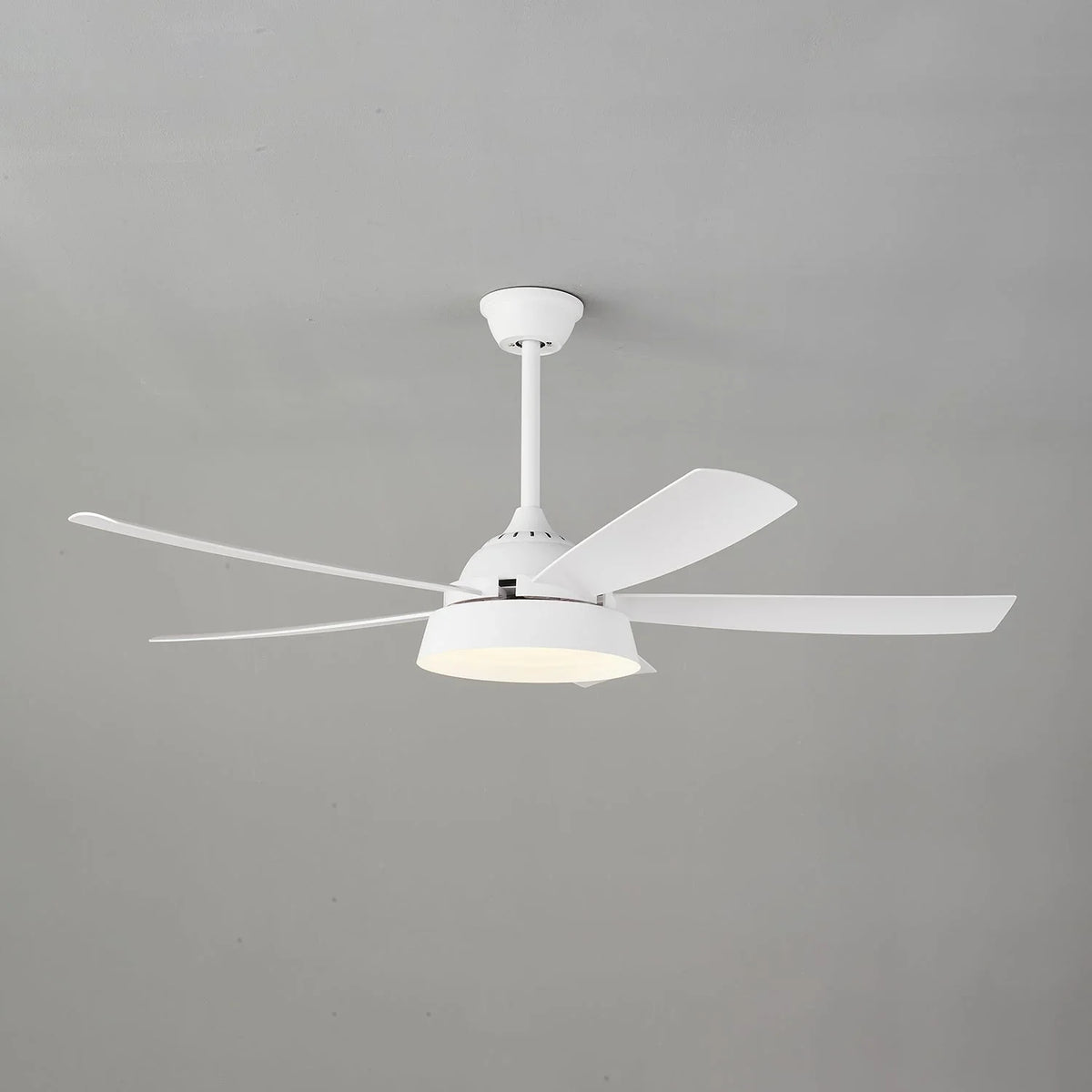 Elysian Ceiling Fan Light - view 27 | Metavaya