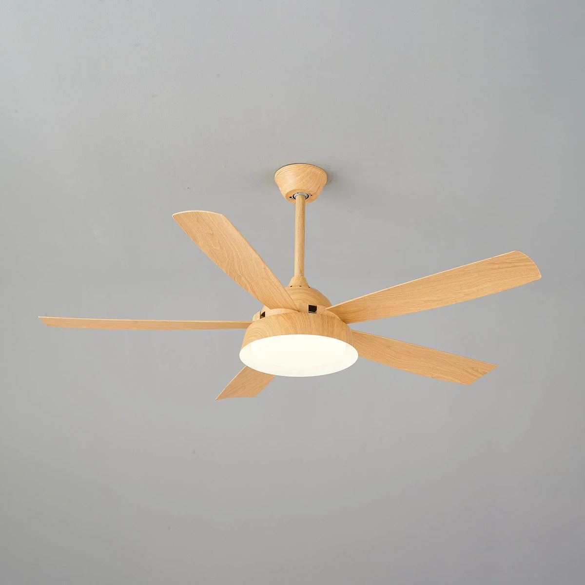 Elysian Ceiling Fan Light - view 18 | Metavaya