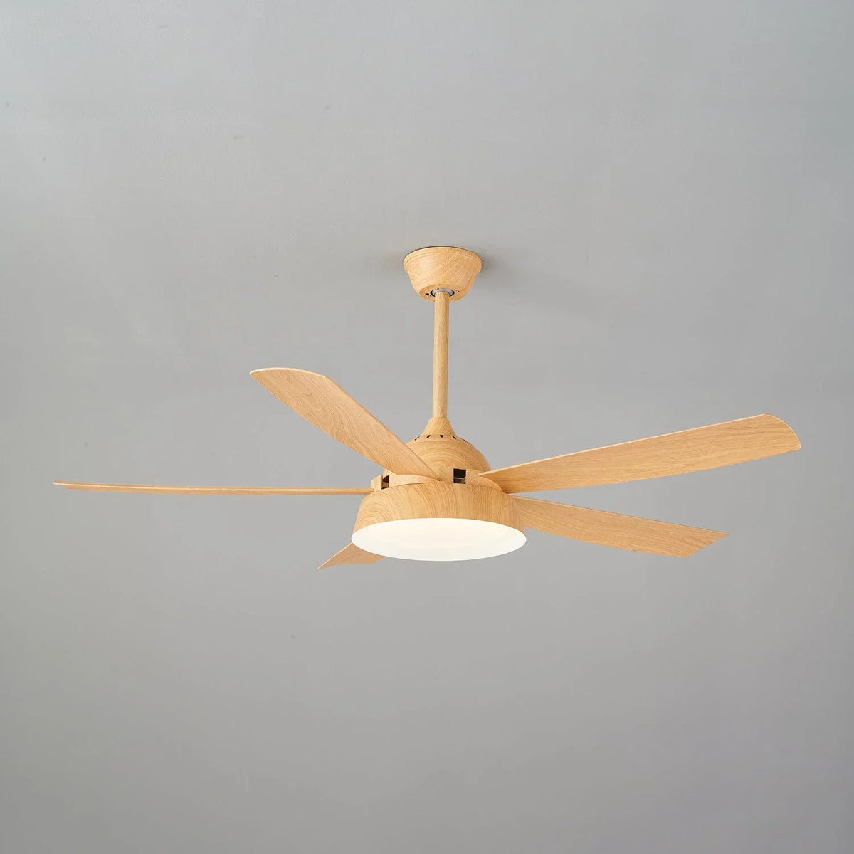 Elysian Ceiling Fan Light - view 20 | Metavaya