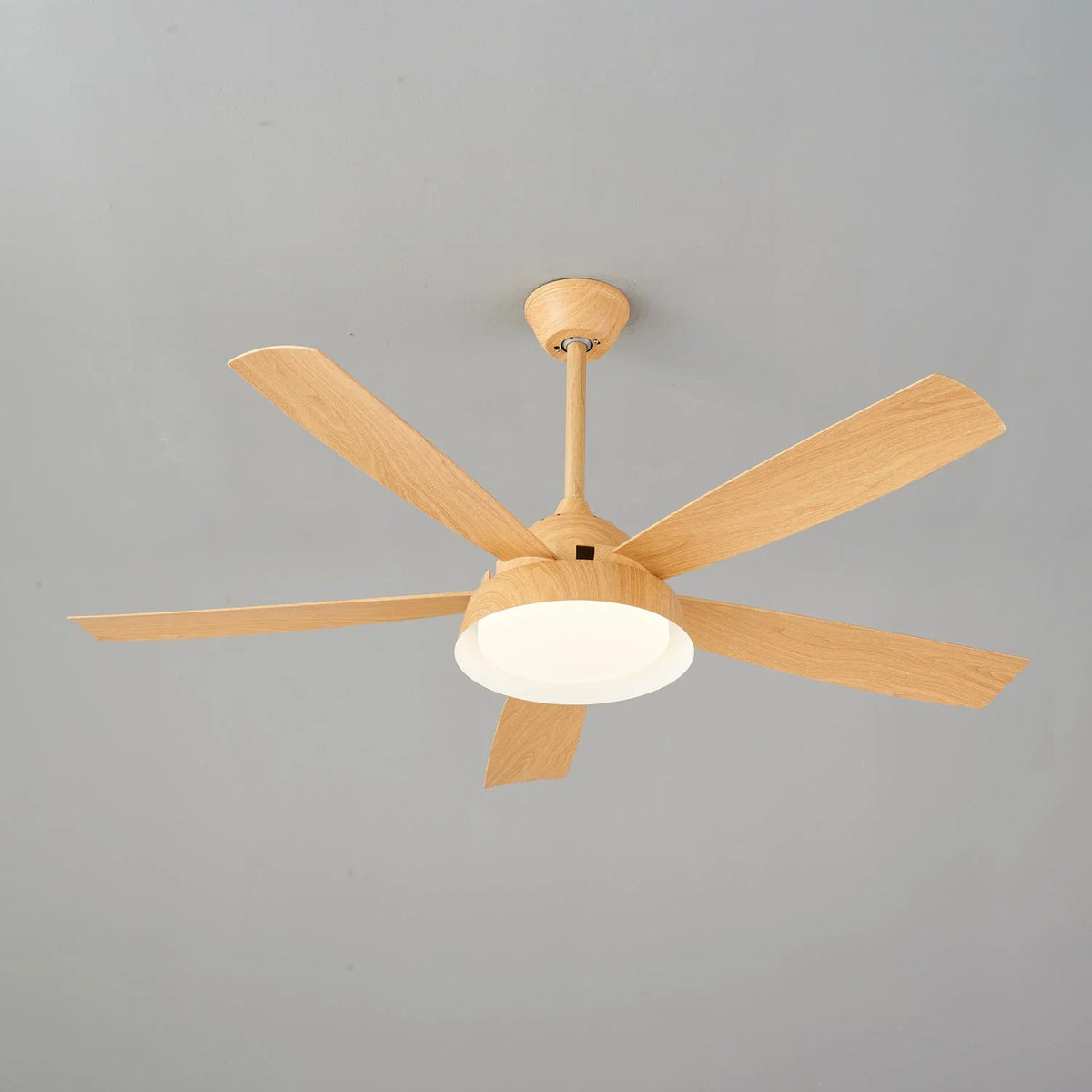 Elysian Ceiling Fan Light - view 21 | Metavaya