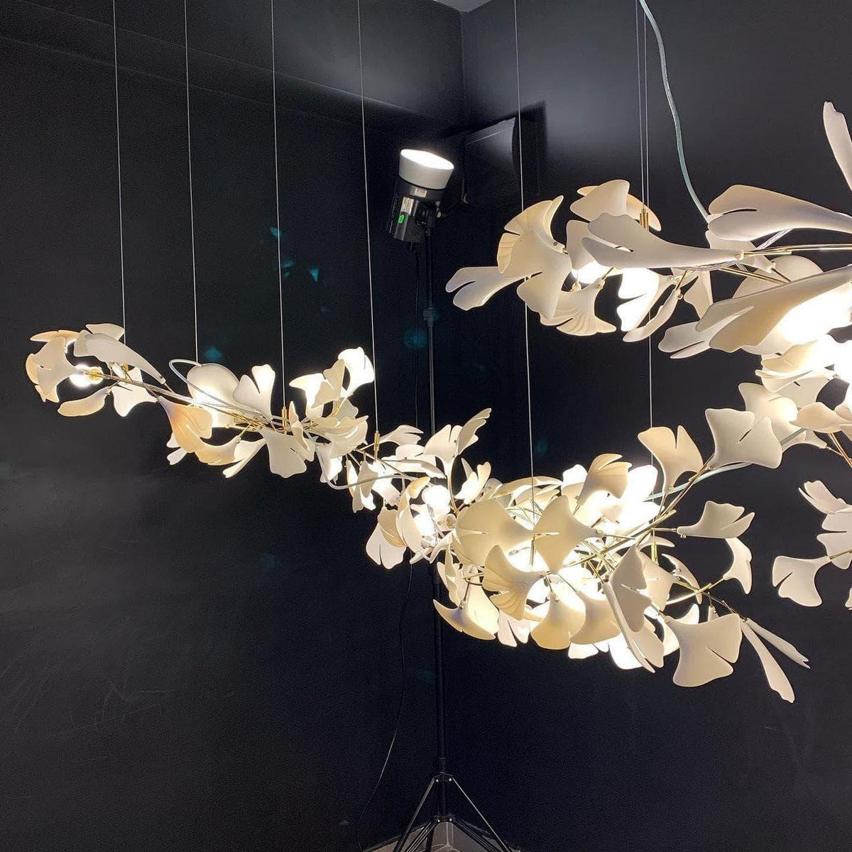 Metavaya Chandelier Gingko Chandelier A