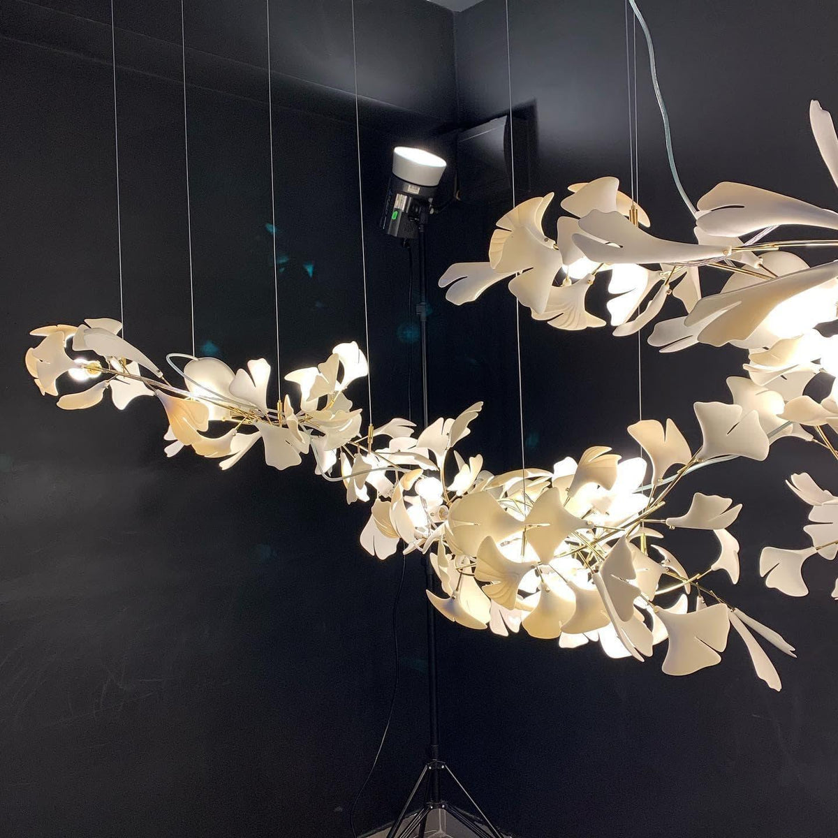 Metavaya Chandelier Gingko Chandelier A