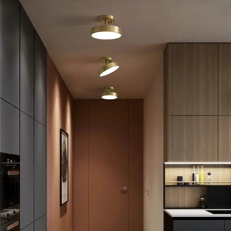 Metavaya Ceiling Lamp Hero Rotating Ceiling Lamp