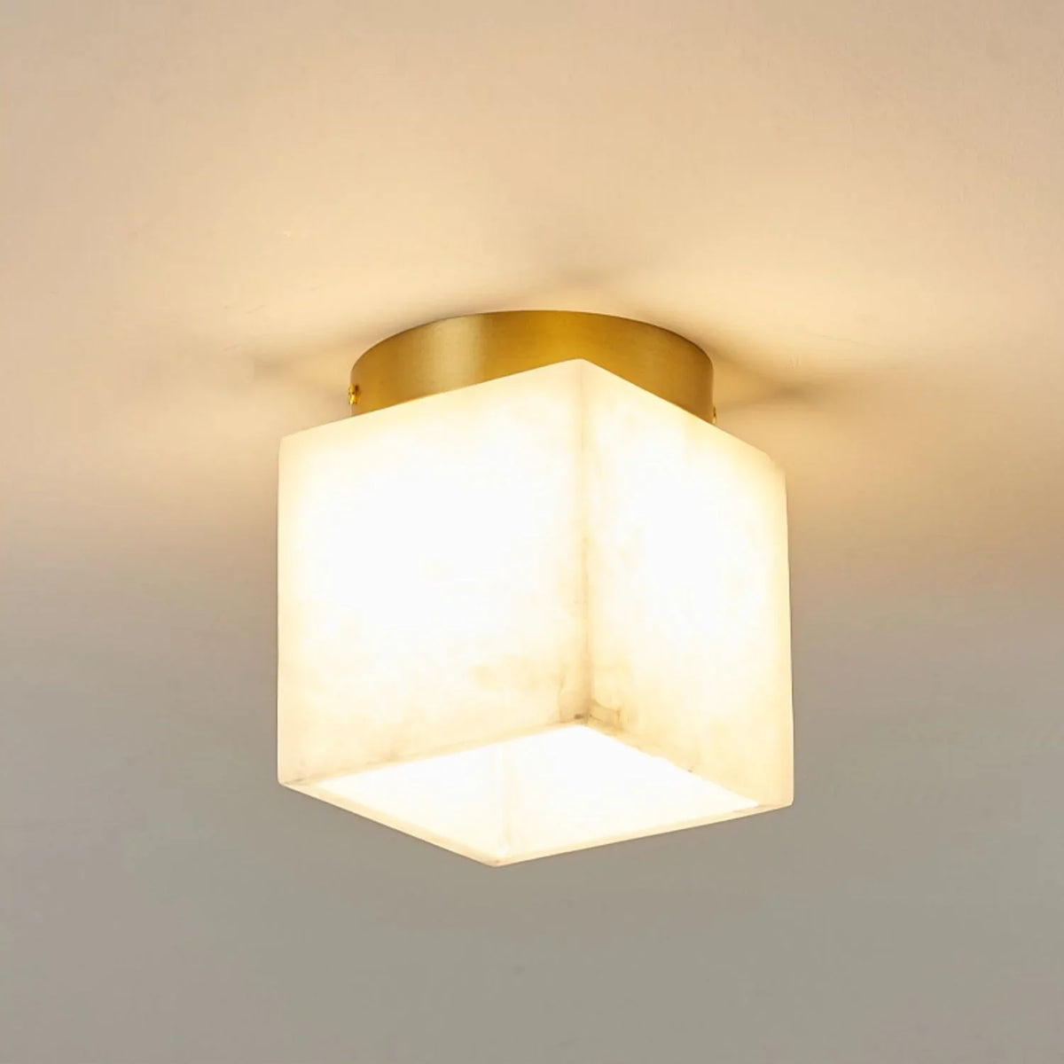 Hudson Valley Budnick Ceiling Light - view 8 | Metavaya