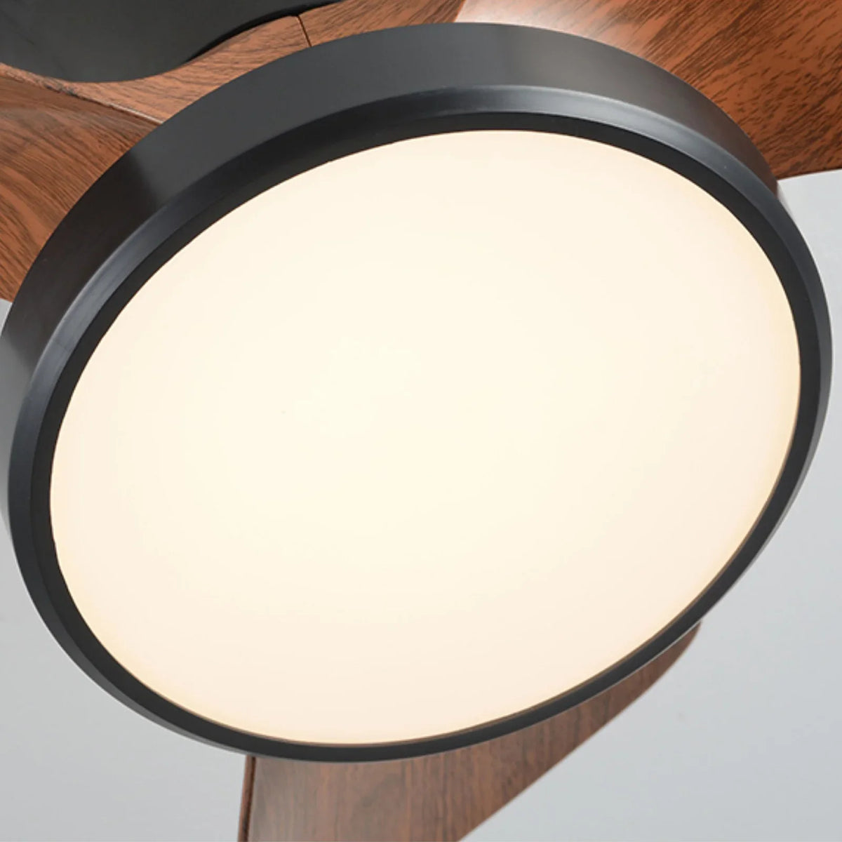 Industrial Round Acrylic Ceiling Fan Light - view 13 | Metavaya