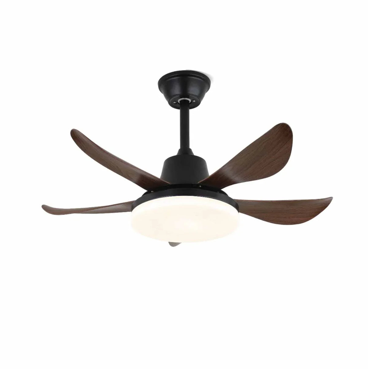 Lucas Ceiling Fan Light | Metavaya