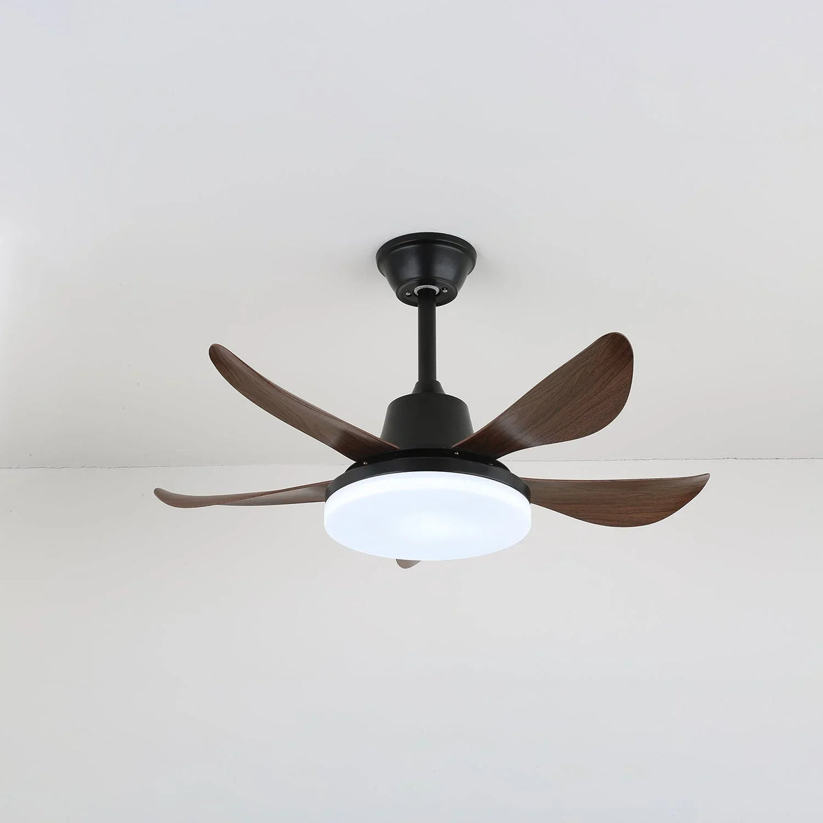 Lucas Ceiling Fan Light - view 6 | Metavaya
