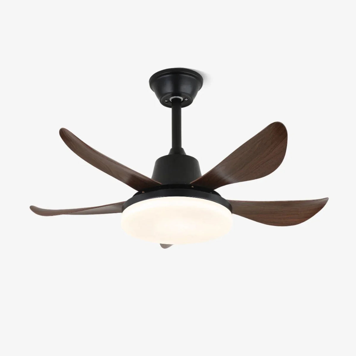 Lucas Ceiling Fan Light - view 5 | Metavaya