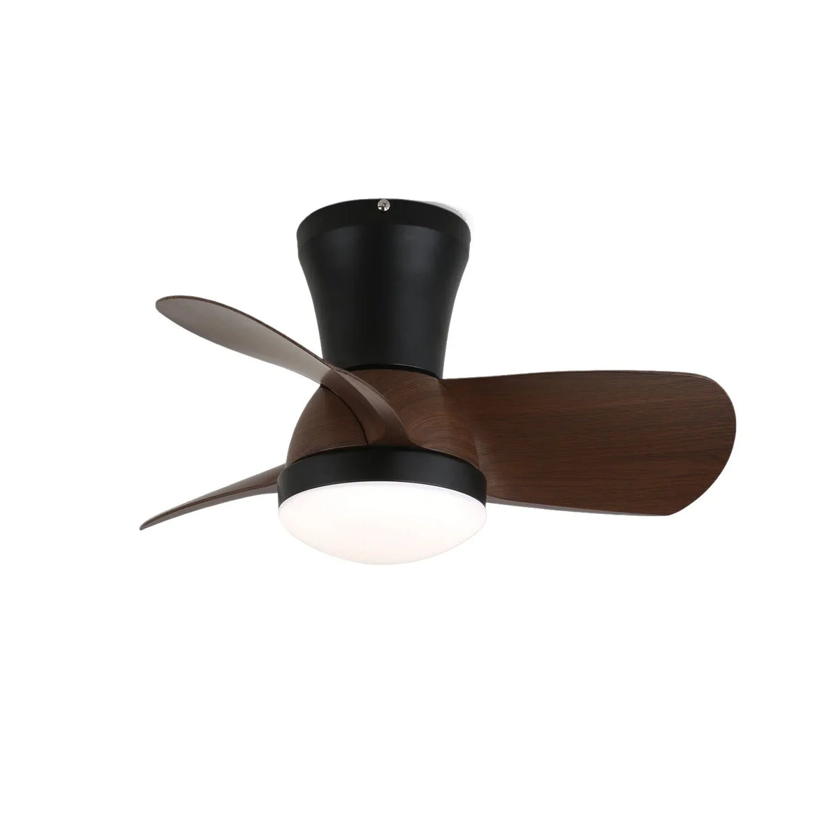 Miro Ceiling Fan Light | Metavaya