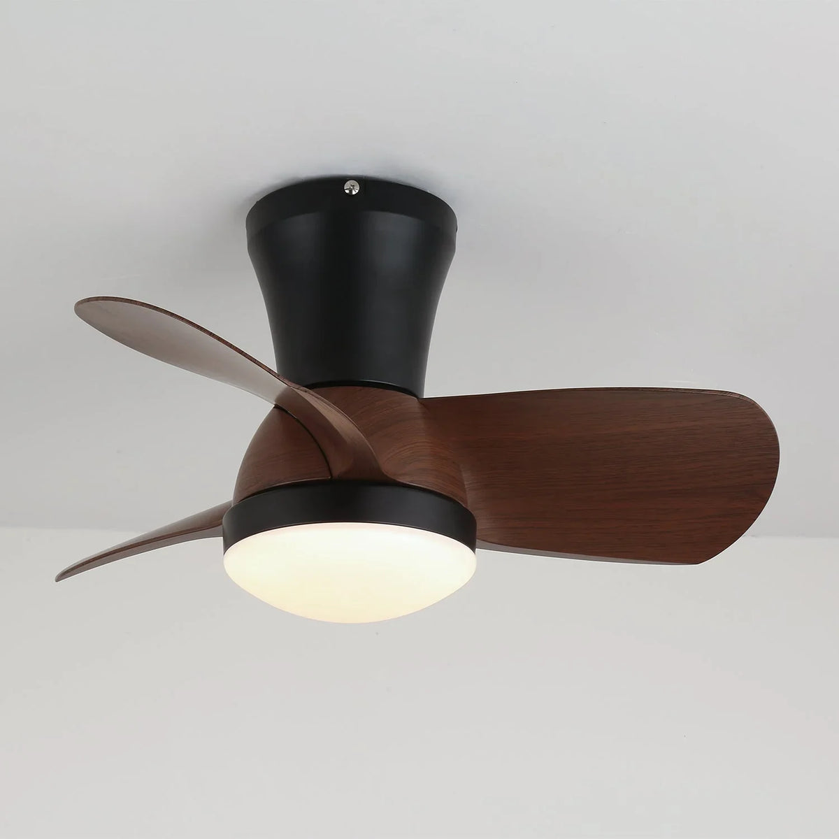 Miro Ceiling Fan Light - view 4 | Metavaya