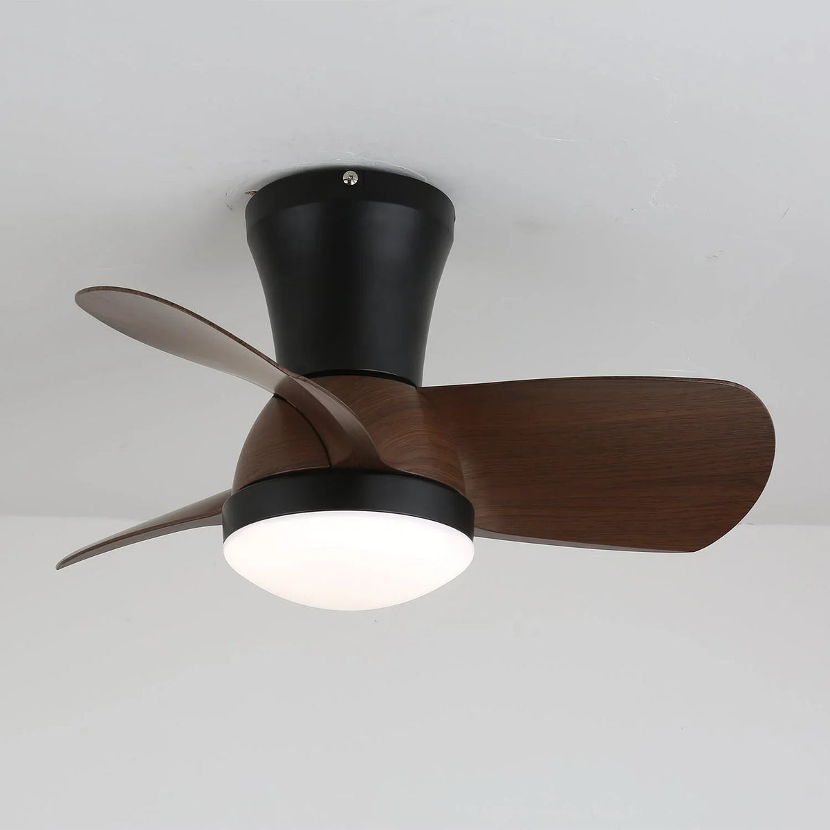 Miro Ceiling Fan Light - view 5 | Metavaya
