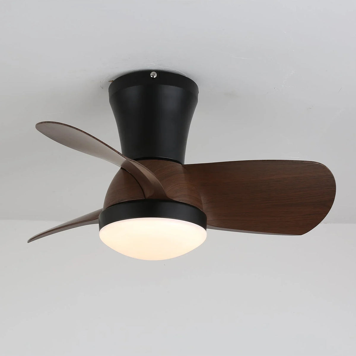 Miro Ceiling Fan Light - view 6 | Metavaya