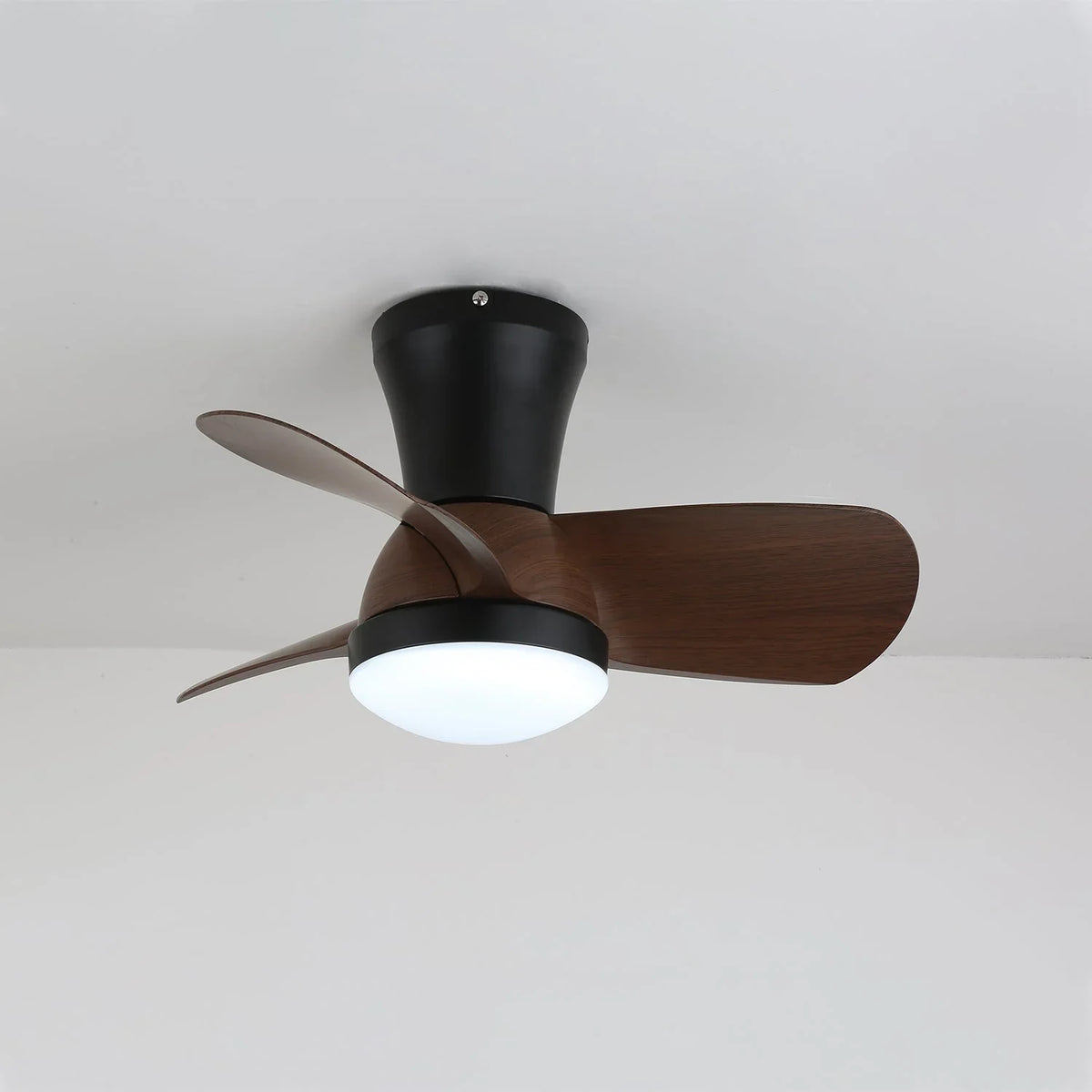 Miro Ceiling Fan Light - view 7 | Metavaya