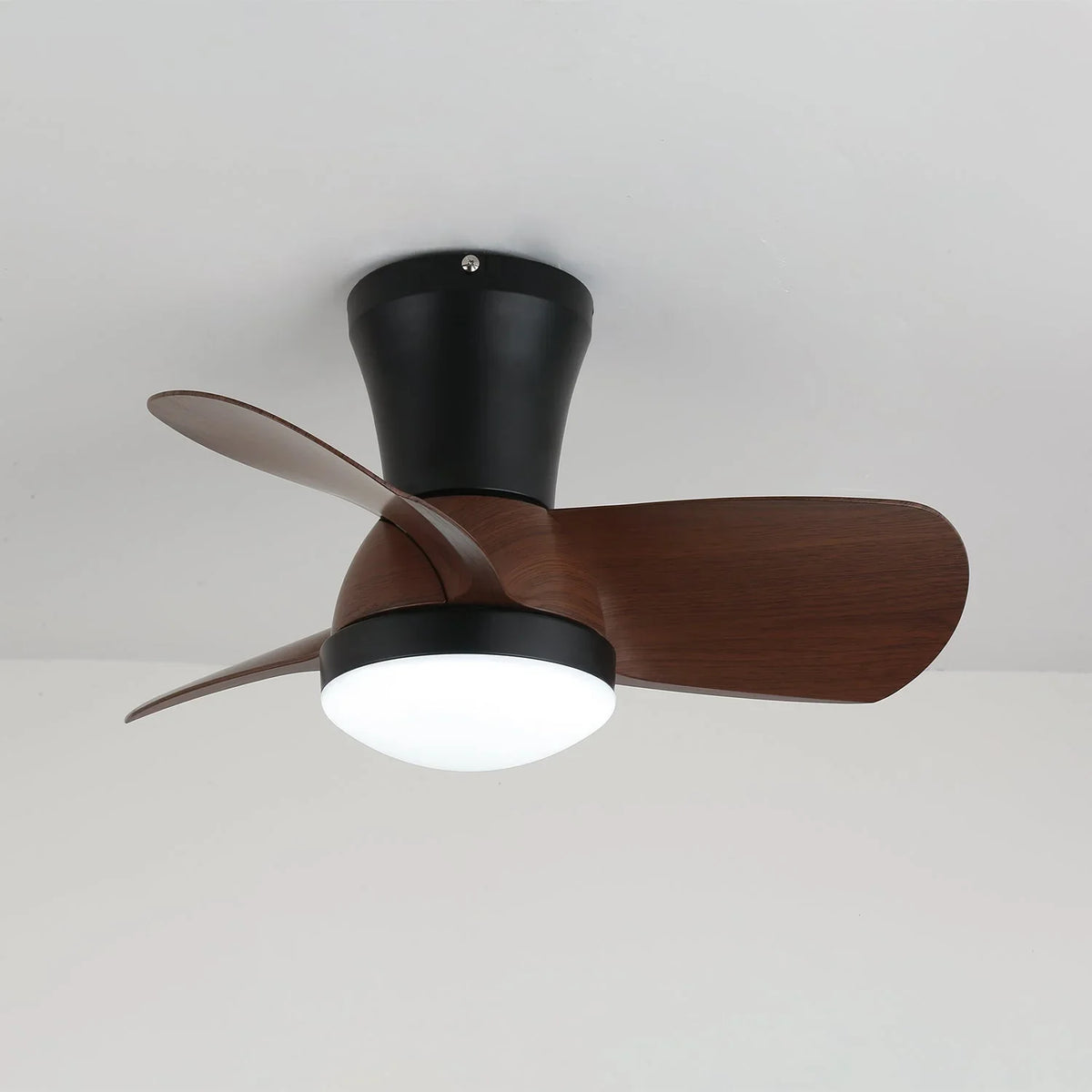 Miro Ceiling Fan Light - view 8 | Metavaya