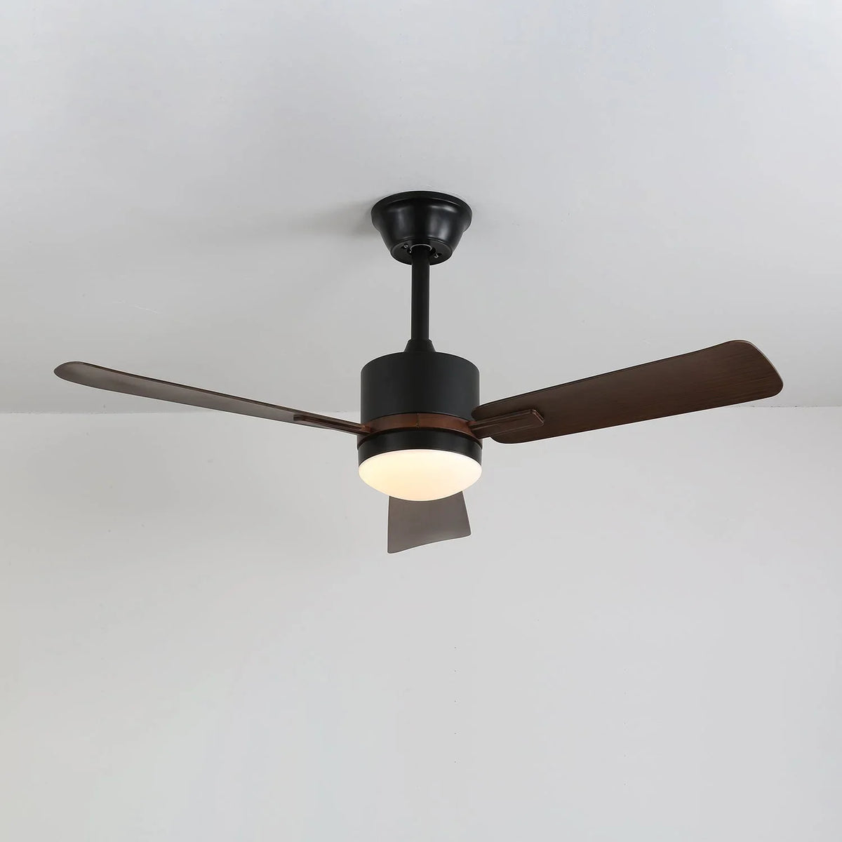 Nimora Ceiling Fan Light - view 5 | Metavaya