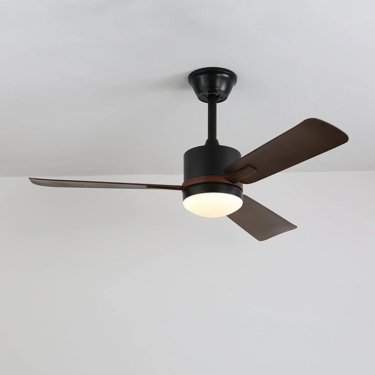 Nimora Ceiling Fan Light - view 6 | Metavaya