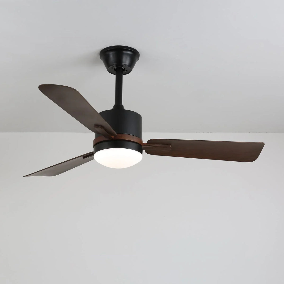 Nimora Ceiling Fan Light - view 2 | Metavaya