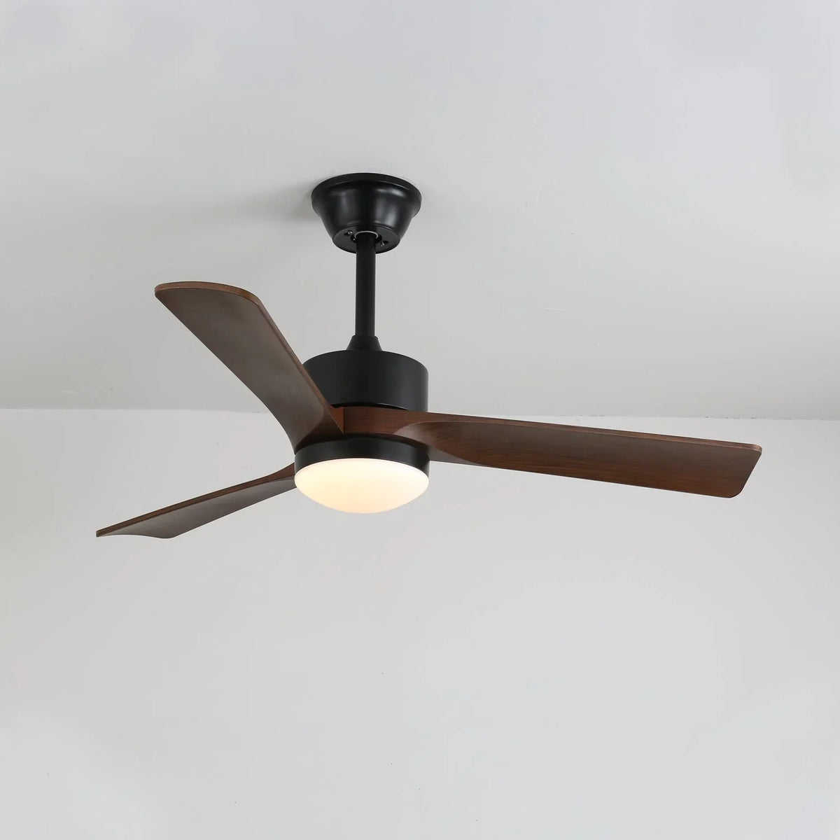 Nimora Ceiling Fan Light - view 3 | Metavaya