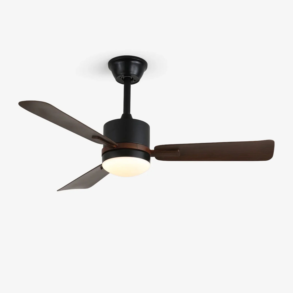 Nimora Ceiling Fan Light - view 9 | Metavaya