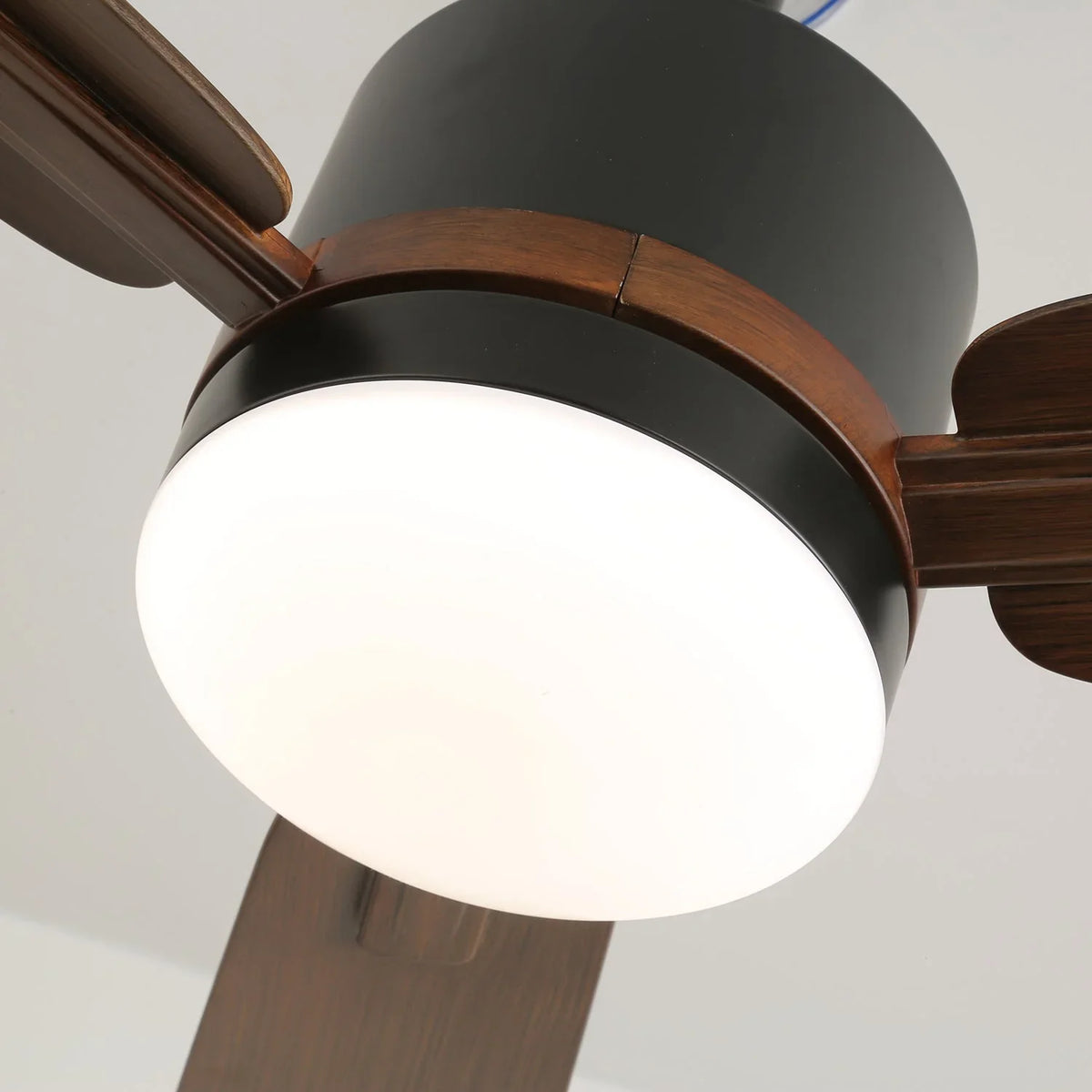 Nimora Ceiling Fan Light - view 11 | Metavaya