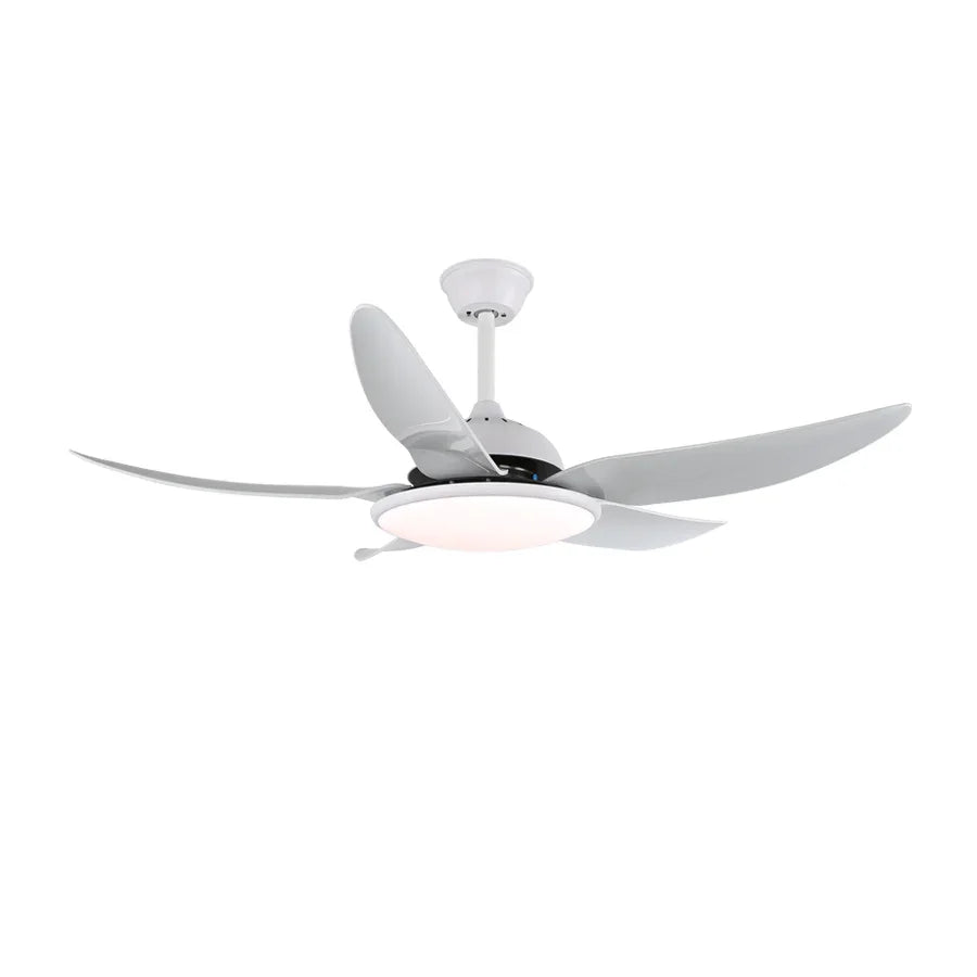 Noctura Ceiling Fan Light - view 5 | Metavaya