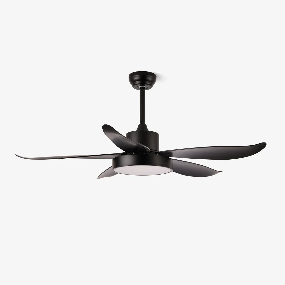 Noctura Ceiling Fan Light - view 4 | Metavaya