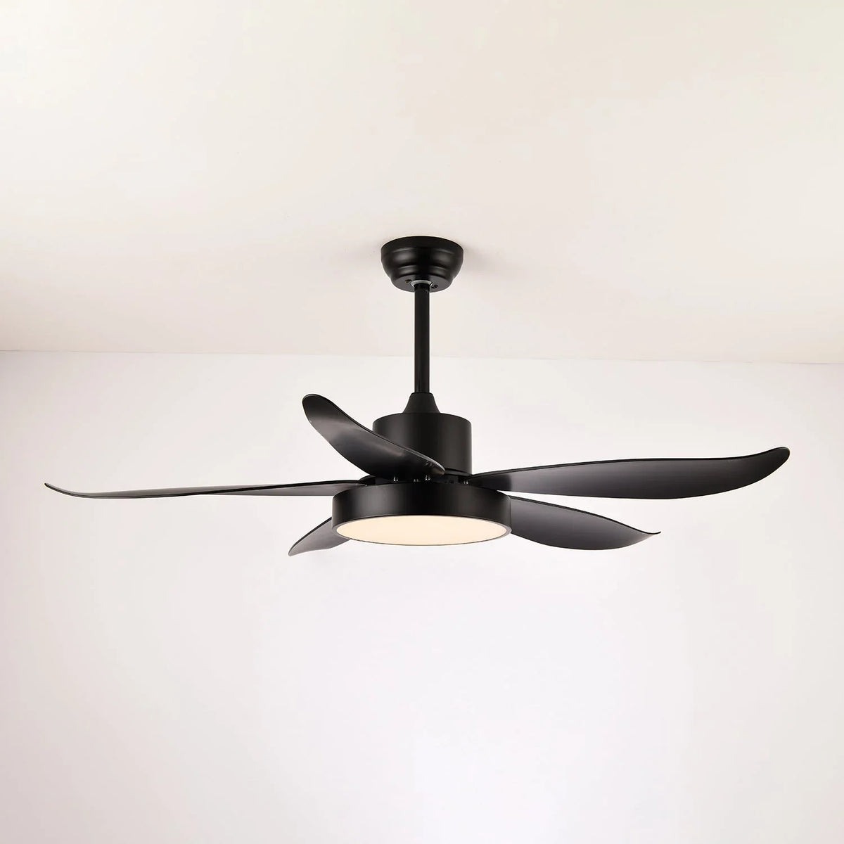 Noctura Ceiling Fan Light - view 3 | Metavaya