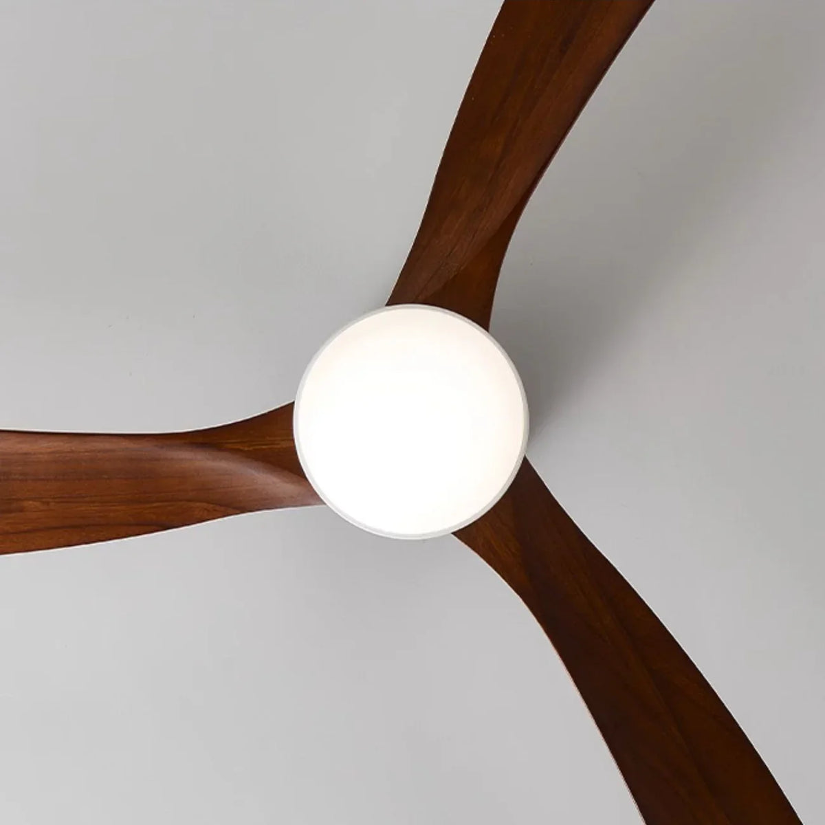 Nordic Wood Blade Ceiling Fan Light - view 23 | Metavaya