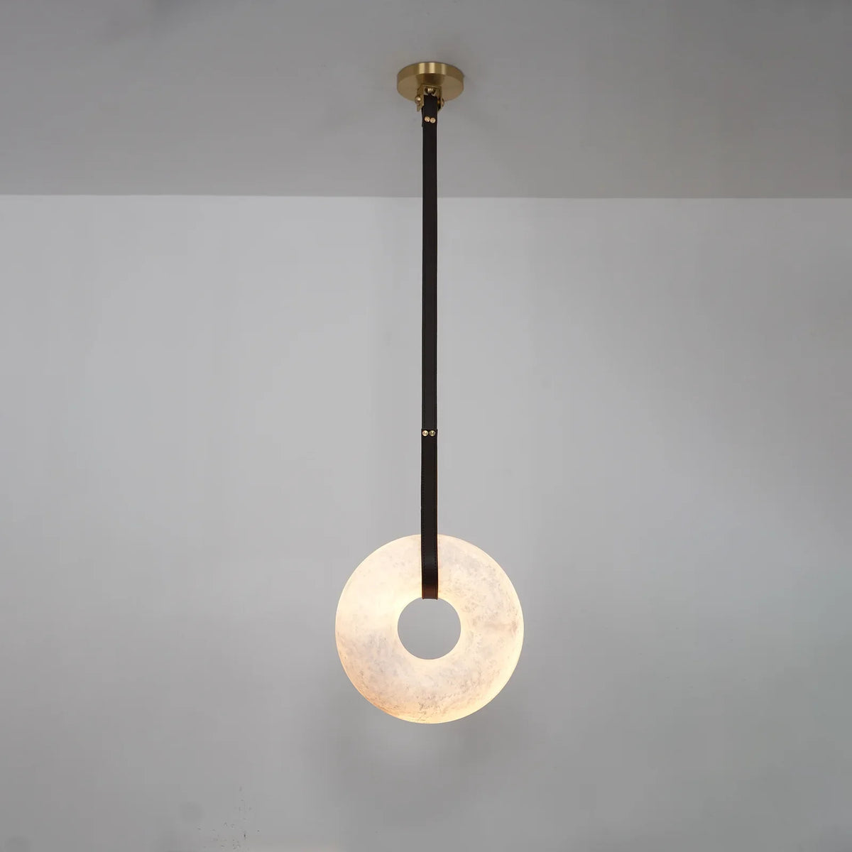 Halo Pendant Light - view 10 | Metavaya
