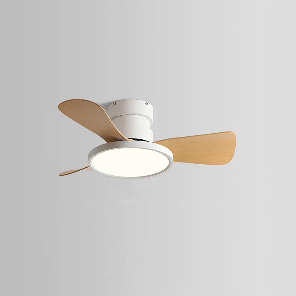 Round Acrylic Blade Ceiling Fan Light - view 13 | Metavaya