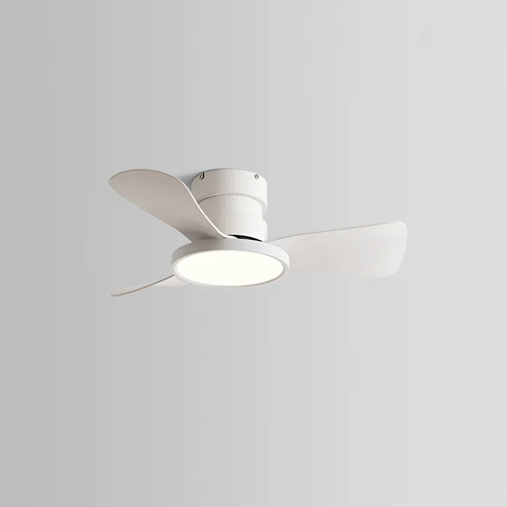 Round Acrylic Blade Ceiling Fan Light - view 14 | Metavaya