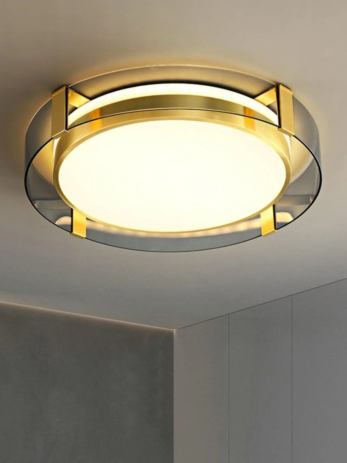 Metavaya Ceiling Light Round Low Profile Ceiling Light