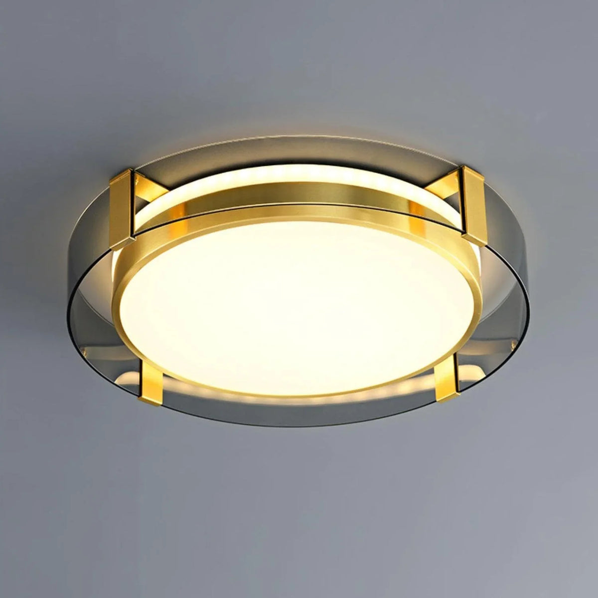 Metavaya Ceiling Light Round Low Profile Ceiling Light