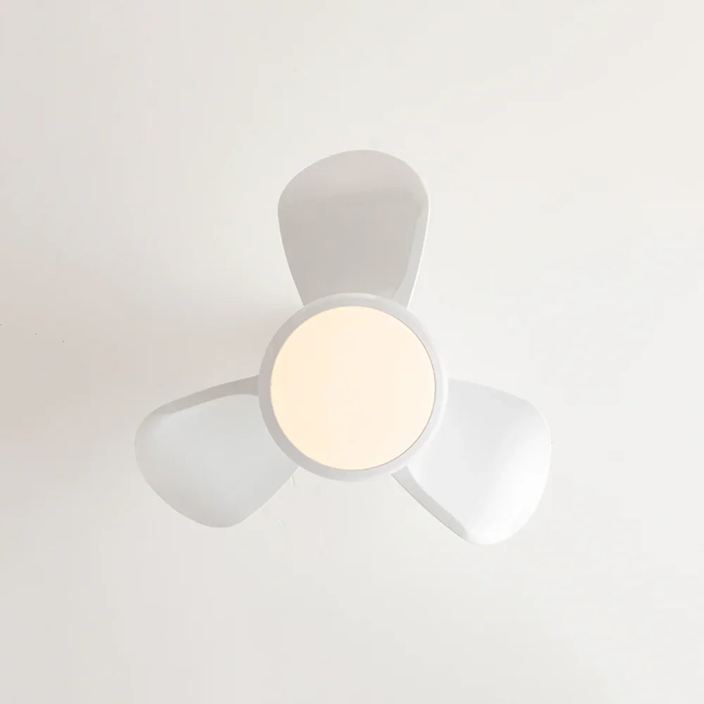 Seyfi Three Leaves Ceiling Fan Light - view 9 | Metavaya