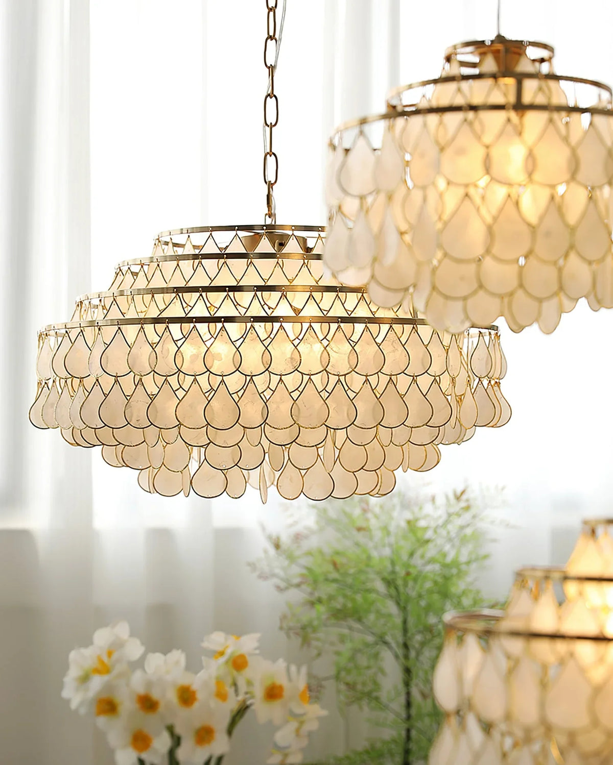 Teardrops Capiz Chandelier - view 17 | Metavaya